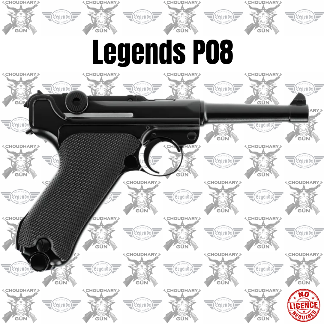Legends P08